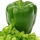 Green-Pepper-
