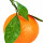 Mandarin-Orange