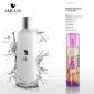 Paris Hilton Passport Body Wash