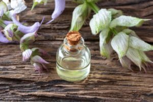 Maklon Parfum Terbaik