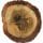 Agarwood