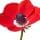 Anemone