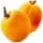 Apricot