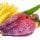 Banana Flower