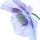 Blue Poppy