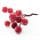 Frosted Berries