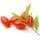 Goji Berries