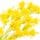 Goldenrod