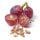 Grape Seed
