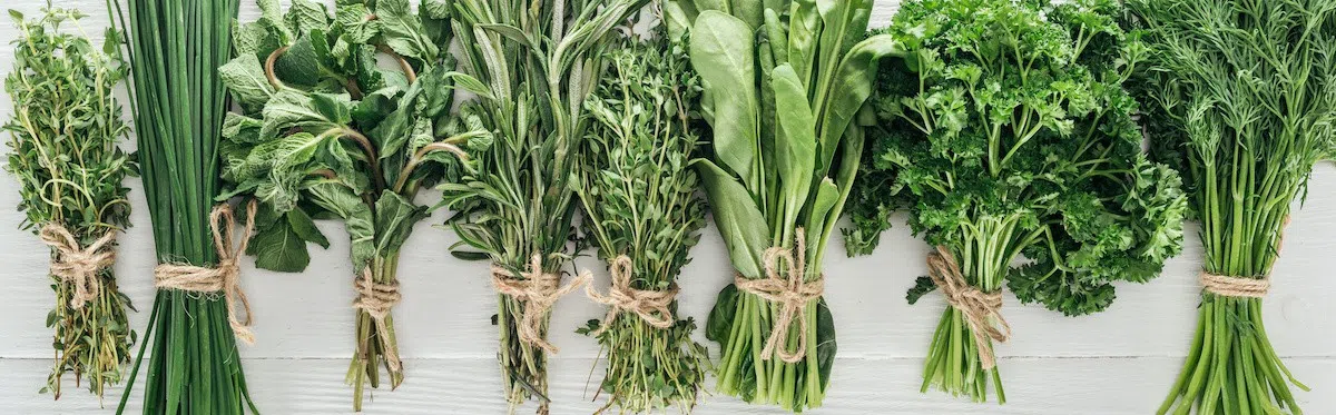 Green Herbs Fougeres