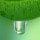 Green Sap