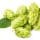 Hops