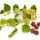 Jujube Blossom