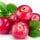 Lingonberry