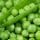 Pea