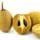 Sapodilla
