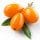 Sea Buckthorn