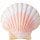 Sea Shells