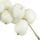 Snowberry