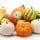 Squash