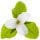 Trillium