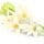 Tuberose