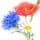Wildflower