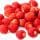 Wild Berries