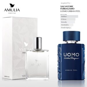 Salvatore Ferragamo Uomo Urban Feel