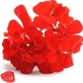 Bourbon Geranium