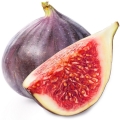 Black Fig