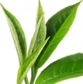 Darjeeling Tea