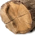 Dark Woody Notes